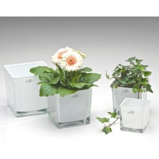 Blomsterskjuler Cube Hvid Opal Sandra Rich image